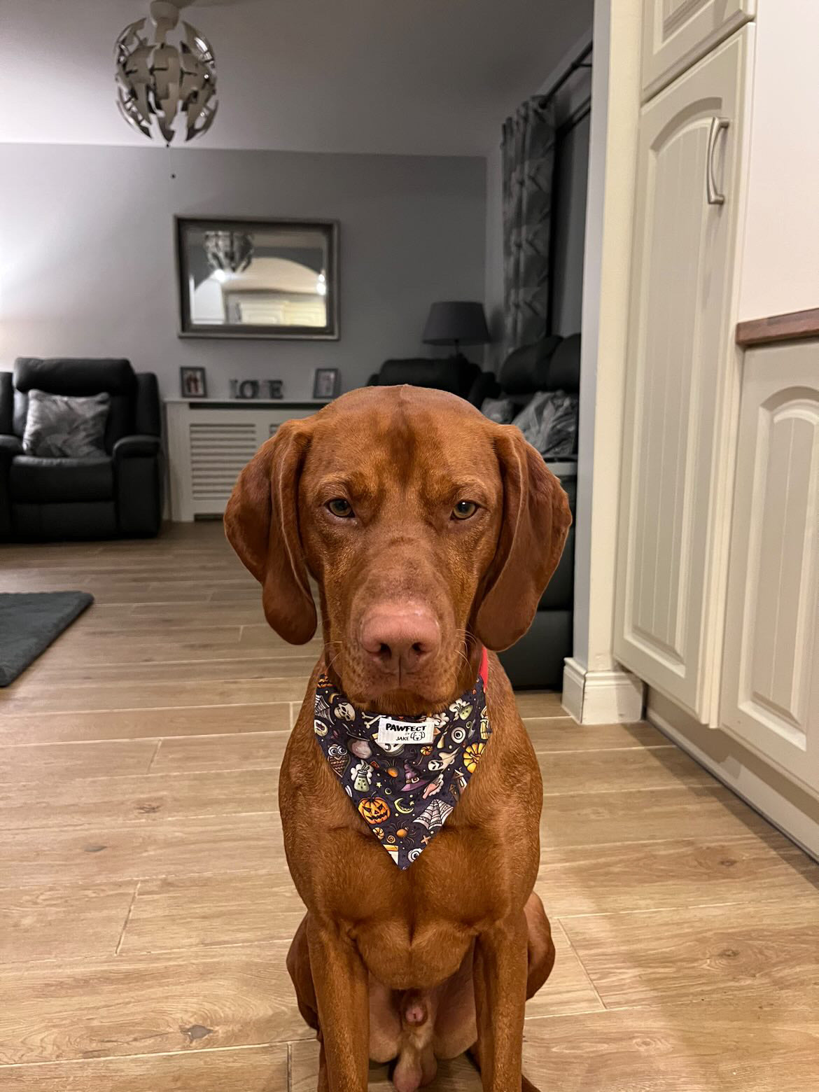 Spooky purple slip on bandana