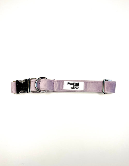 Dusty purple suede collar
