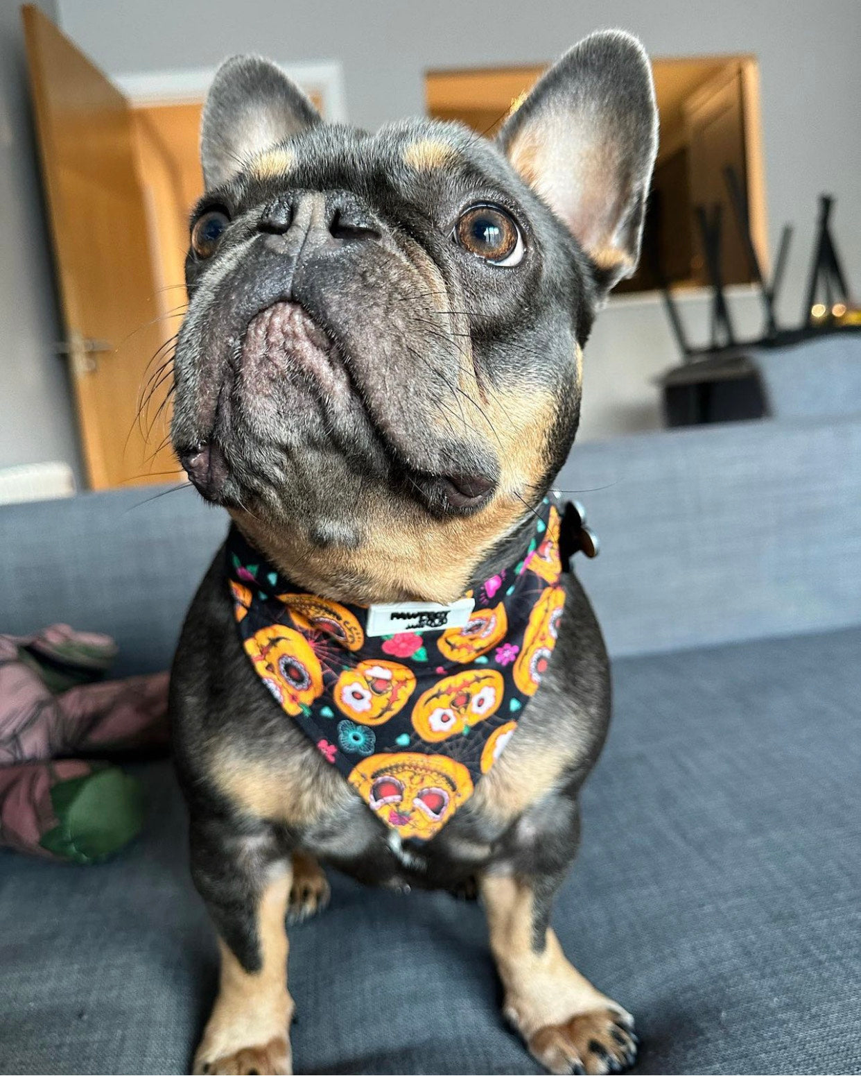 Spooky pumkin orange slip on bandana